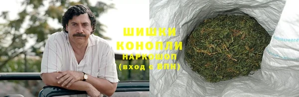 PSILOCYBIN Горно-Алтайск