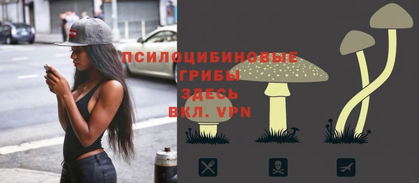 мяу мяу мука Горняк
