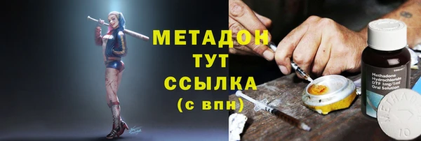 PSILOCYBIN Горно-Алтайск
