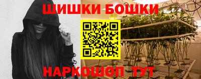 индика Заводоуковск