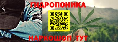 крисы Жуковский